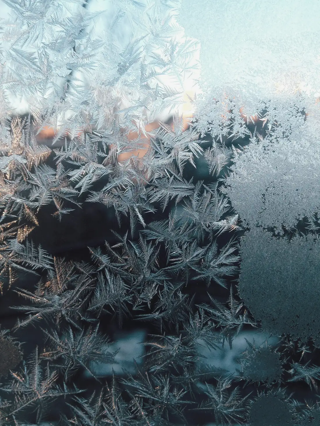 Fleurs de givre sur une vitre, lumière froide derrière